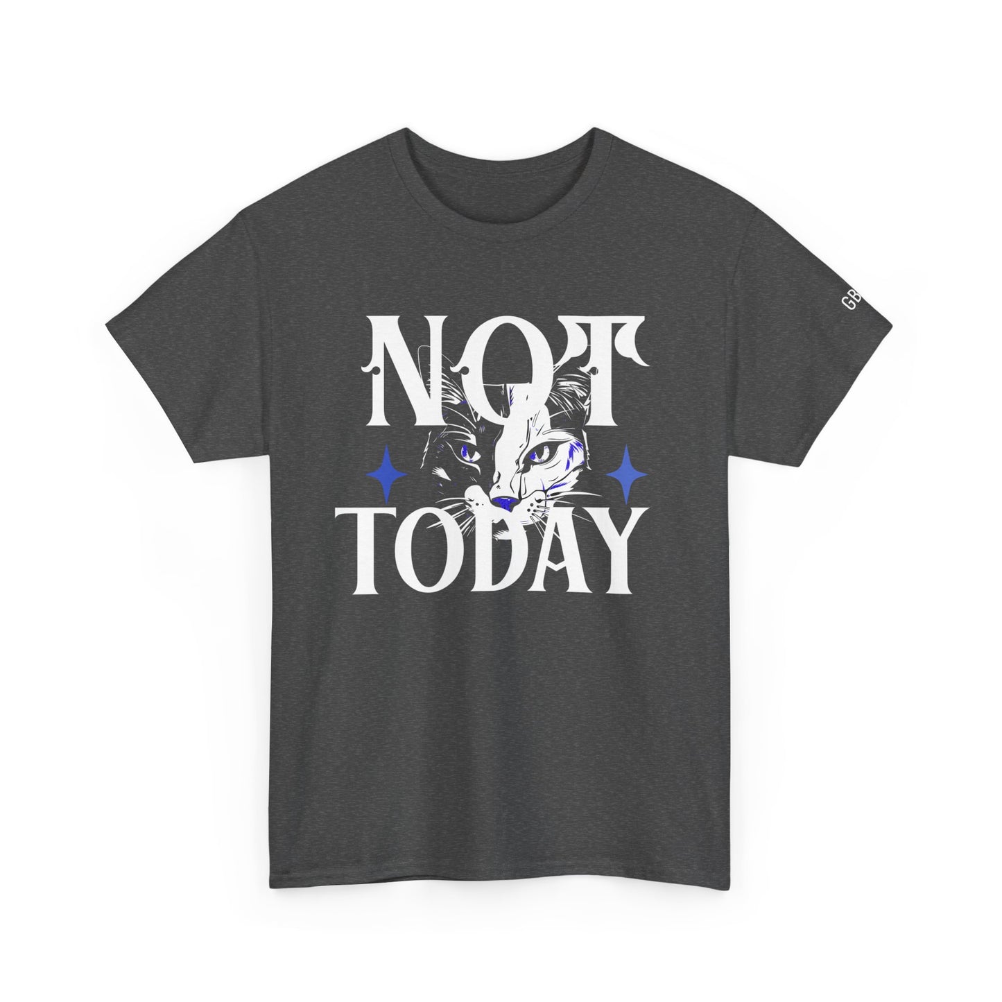 Unisex Heavy Cotton Tee - Not Today Graphic T-Shirt, Casual Wear, Gift for Cat Lovers, Daily Motivation, Comfortable Everyday Tee