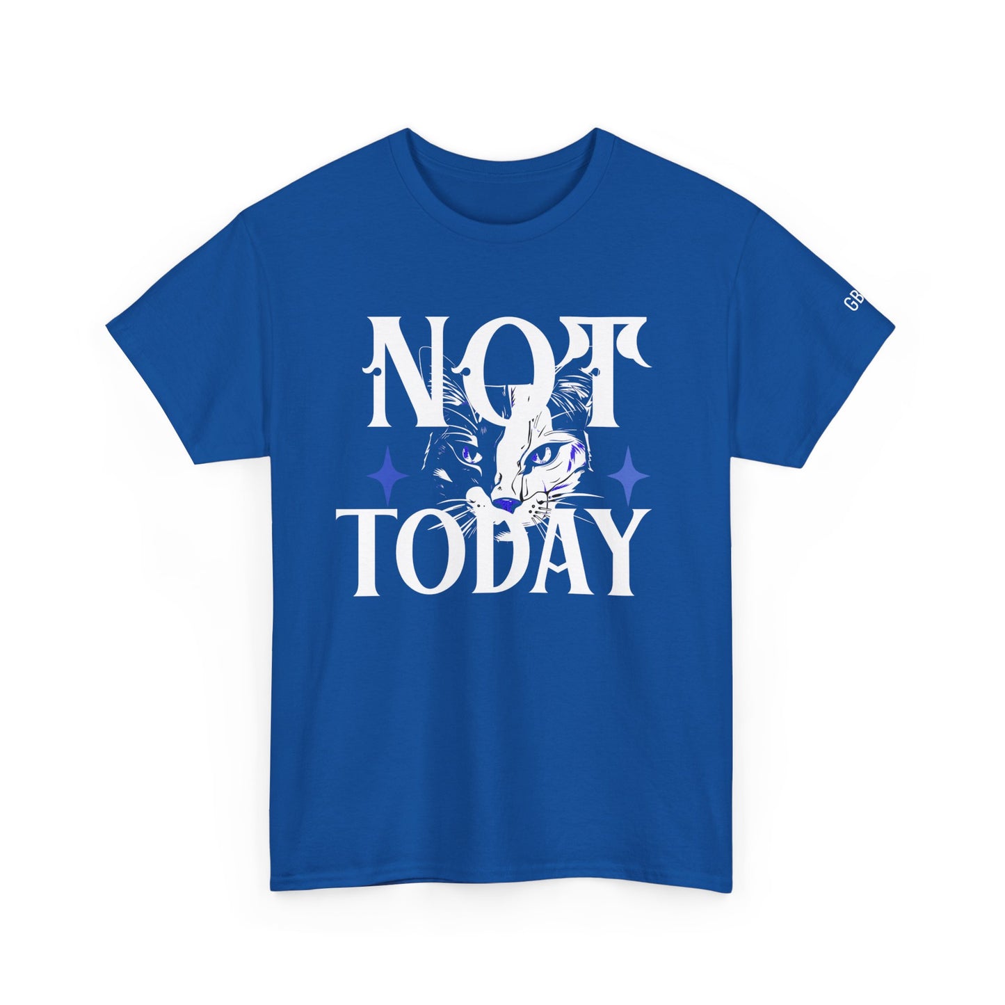 Unisex Heavy Cotton Tee - Not Today Graphic T-Shirt, Casual Wear, Gift for Cat Lovers, Daily Motivation, Comfortable Everyday Tee