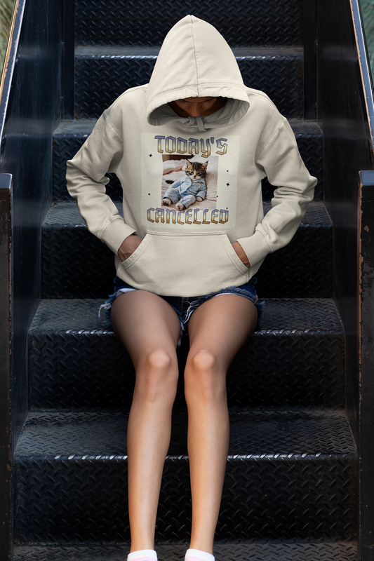 "Today's Cancelled" Comfortable Unisex College Hoodie - Perfect for Relaxing Days, Gifts for Students, and Cozy Evenings